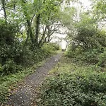 Woodlawn Retreat 펜션 Lough Gowna